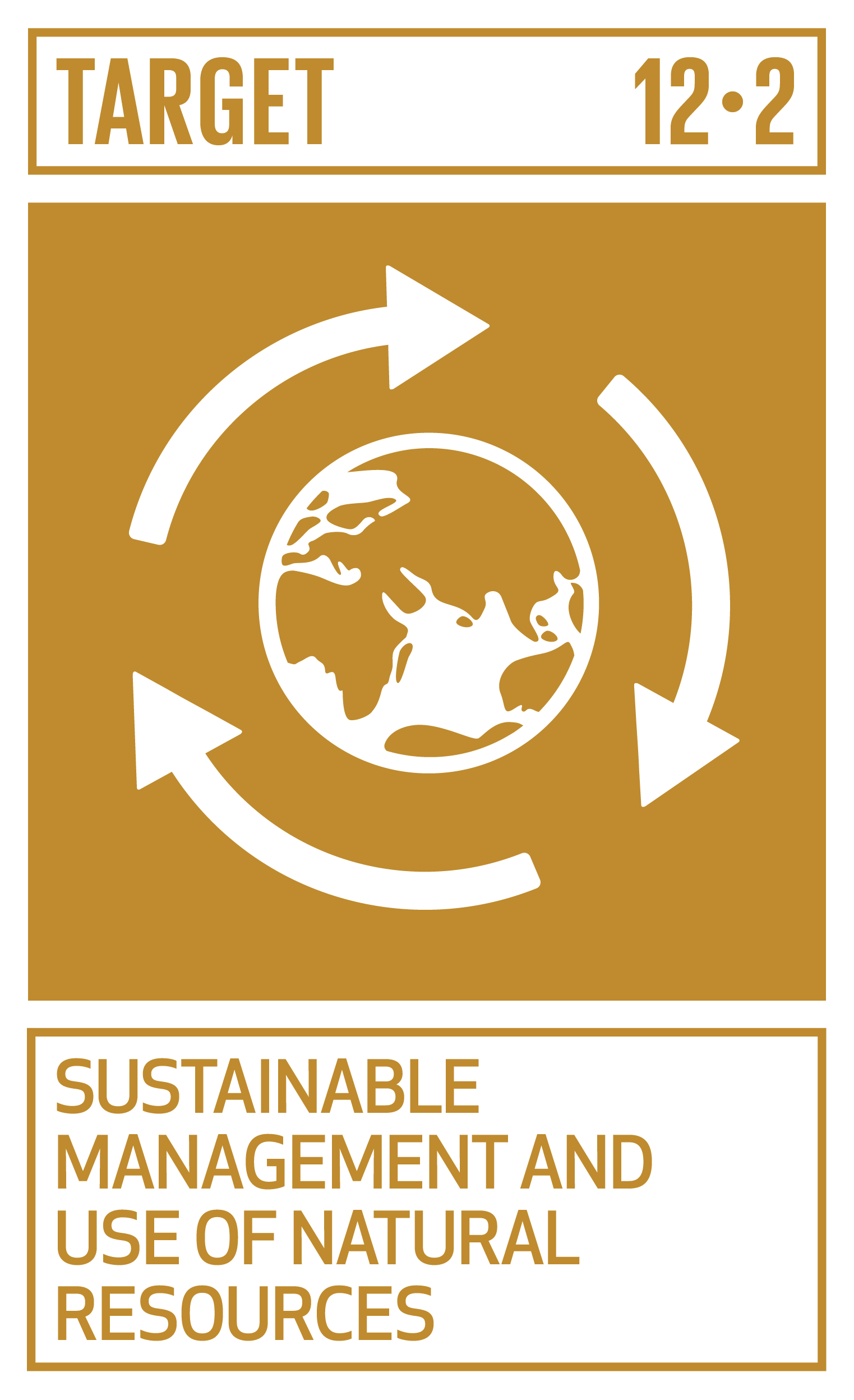 By 2030, achieve the sustainable management and efficient use of natural resources.