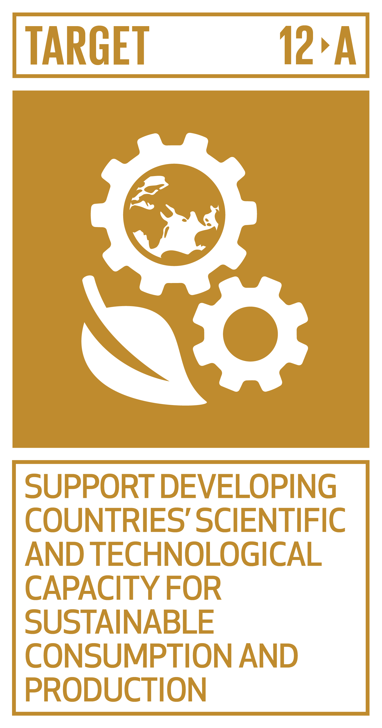 Support Developing Countries' Scientific and Technological Capacity for Sustainable Consumption and Production