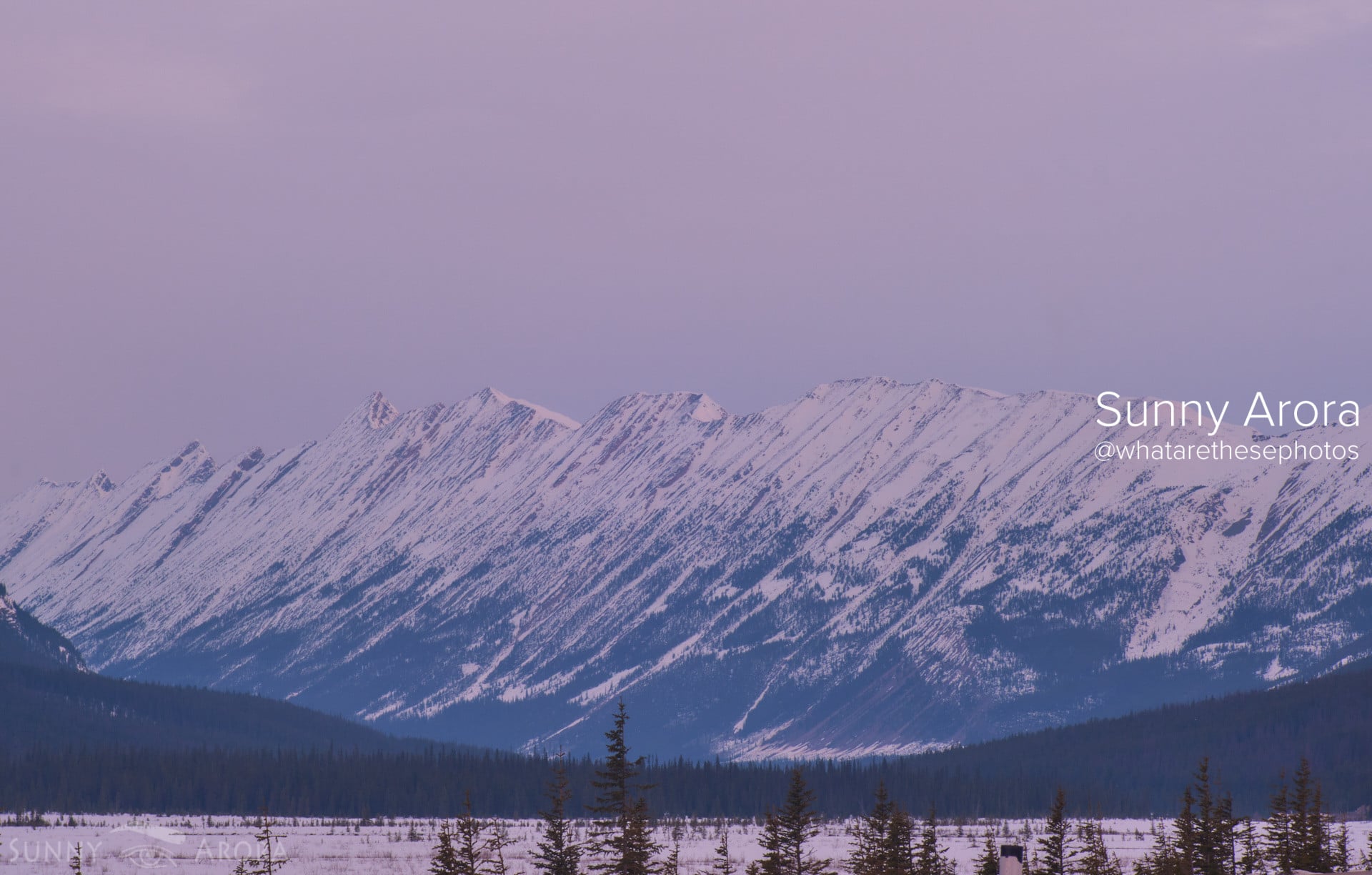 On Road – Jasper / Banff