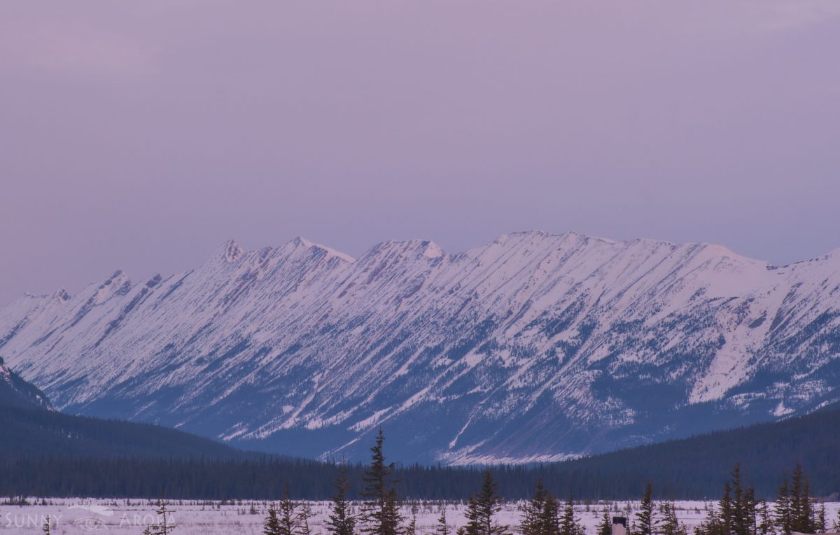 On Road – Jasper / Banff